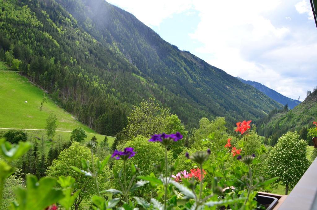 Gasthof Tetter Schladming Room photo